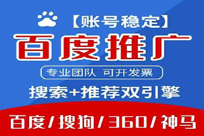 行业领先的SEM竞价广告投放案例